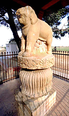 Image result for Sankisa elephant pillar