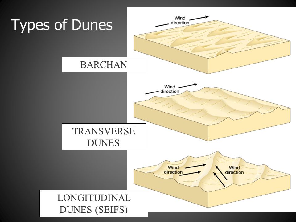 sand-dunes
