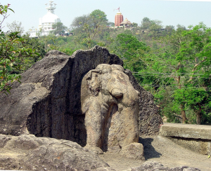 Elephant in Dhauli