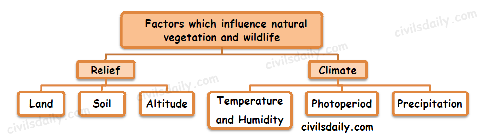 factors of vegetation