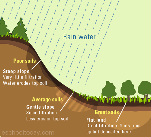 Factors That Affect Soil Development