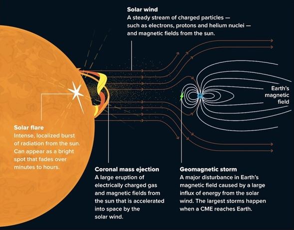 coronal