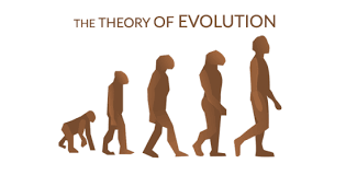 Evolution