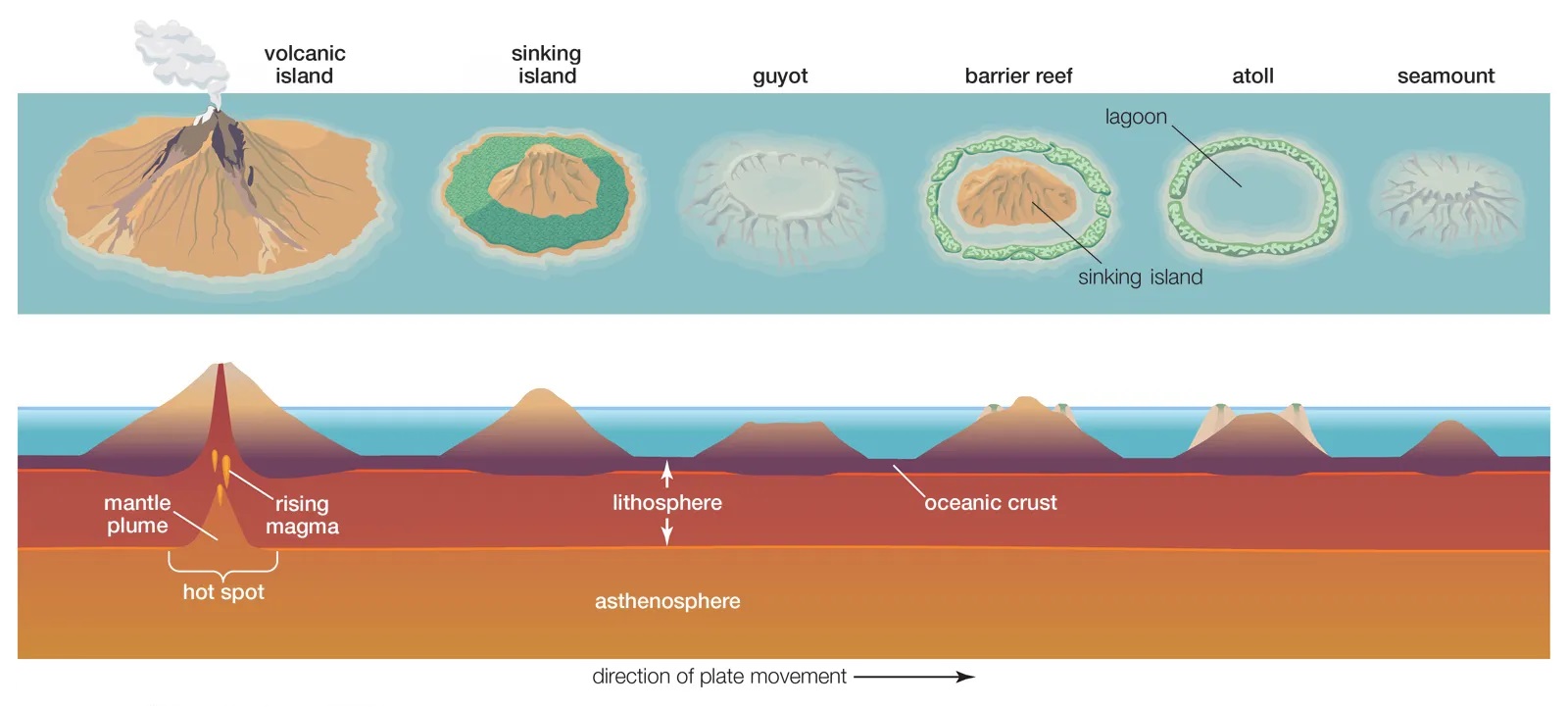 seamount